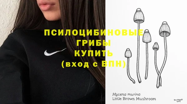 трава Алзамай