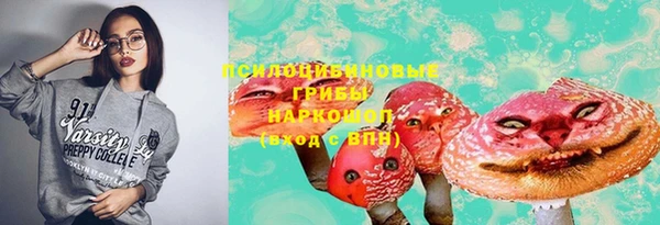 синтетический гашиш Алексеевка