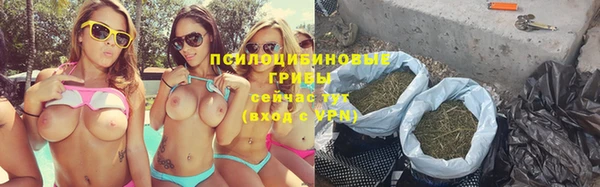 трава Алзамай