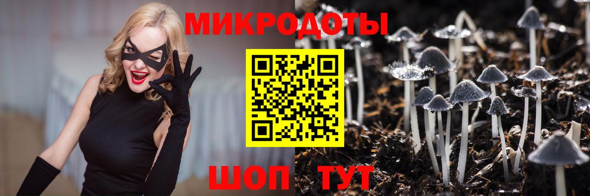 Псилоцибиновые грибы MAGIC MUSHROOMS Дзержинск