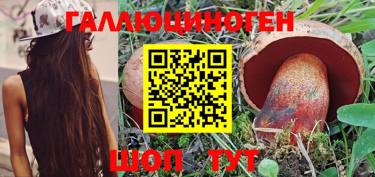 Галлюциногенные грибы MAGIC MUSHROOMS  Вход с VPN  Дзержинск 